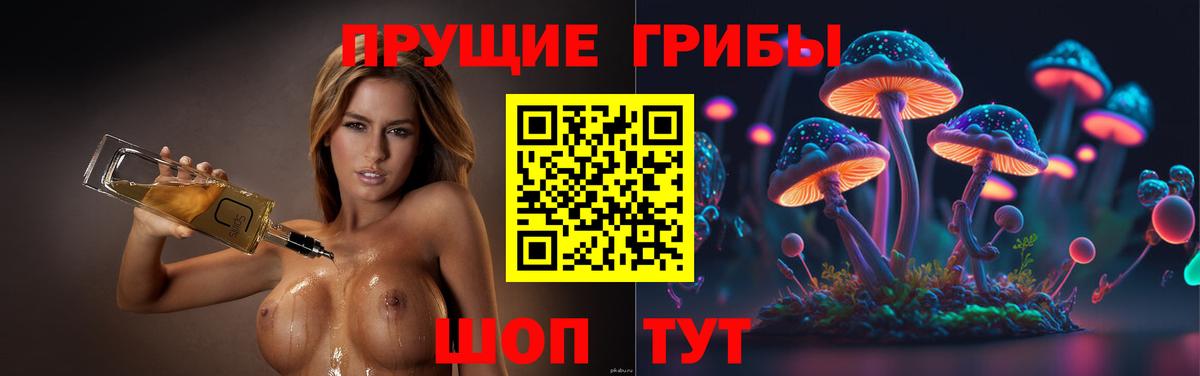 Сорочинск  Псилоцибиновые грибы мухоморы  Вход с VPN 